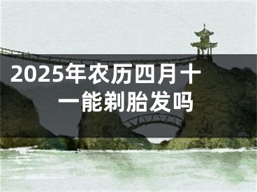 2025年农历四月十一能剃胎发吗