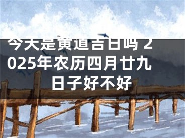 今天是黄道吉日吗 2025年农历四月廿九日子好不好