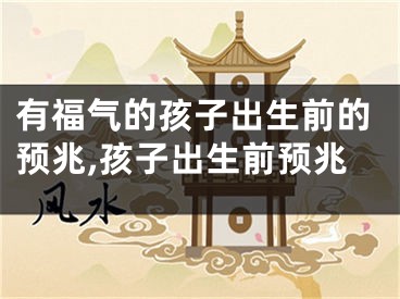 有福气的孩子出生前的预兆,孩子出生前预兆