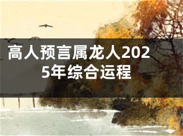 高人预言属龙人2025年综合运程