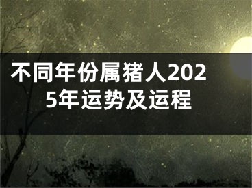 不同年份属猪人2025年运势及运程
