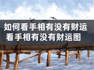 如何看手相有没有财运 看手相有没有财运图