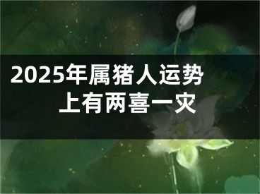 2025年属猪人运势上有两喜一灾