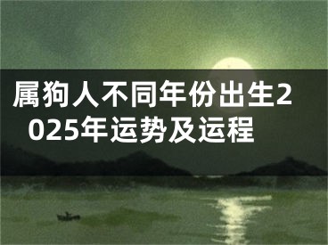 属狗人不同年份出生2025年运势及运程