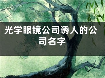 光学眼镜公司诱人的公司名字