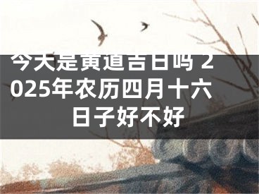 今天是黄道吉日吗 2025年农历四月十六日子好不好