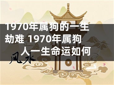 1970年属狗的一生劫难 1970年属狗人一生命运如何