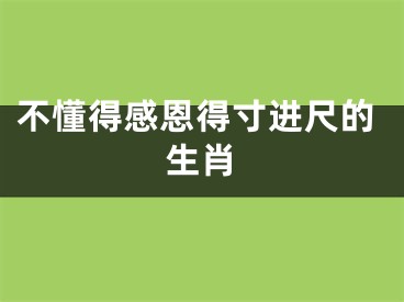 不懂得感恩得寸进尺的生肖