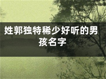 姓郭独特稀少好听的男孩名字