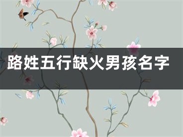 路姓五行缺火男孩名字