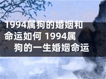 1994属狗的婚姻和命运如何 1994属狗的一生婚姻命运