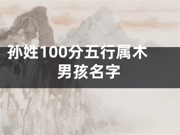 孙姓100分五行属木男孩名字