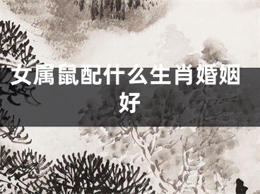 女属鼠配什么生肖婚姻好
