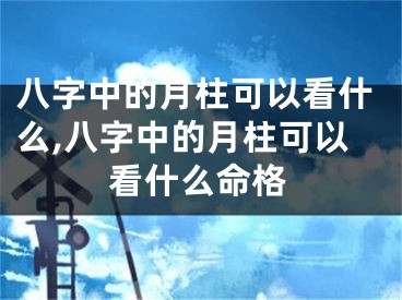八字中的月柱可以看什么,八字中的月柱可以看什么命格