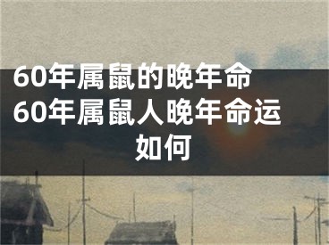 60年属鼠的晚年命 60年属鼠人晚年命运如何