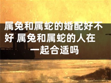 属兔和属蛇的婚配好不好 属兔和属蛇的人在一起合适吗