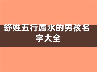 舒姓五行属水的男孩名字大全