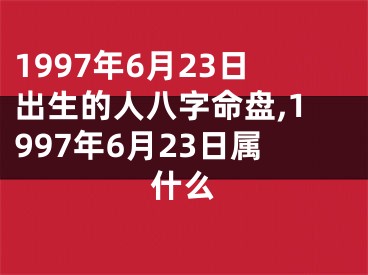 1997年6月23日出生的人八字命盘,1997年6月23日属什么