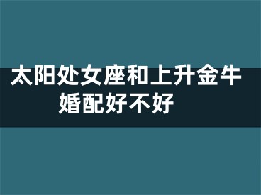 太阳处女座和上升金牛婚配好不好 