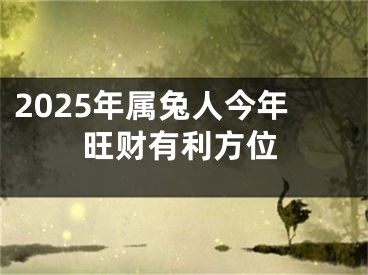 2025年属兔人今年旺财有利方位