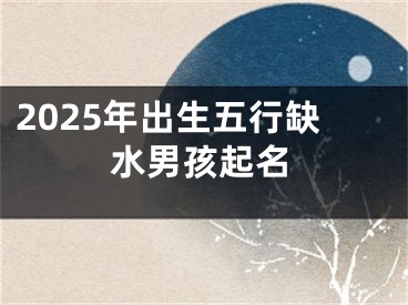 2025年出生五行缺水男孩起名