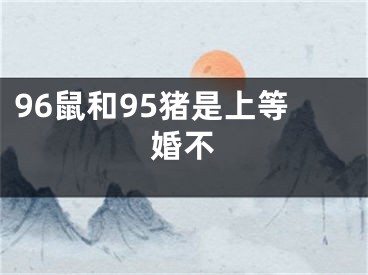 96鼠和95猪是上等婚不