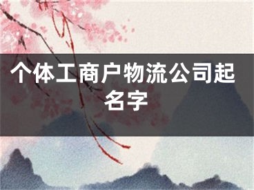 个体工商户物流公司起名字