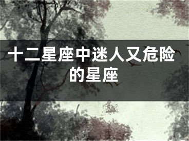 十二星座中迷人又危险的星座
