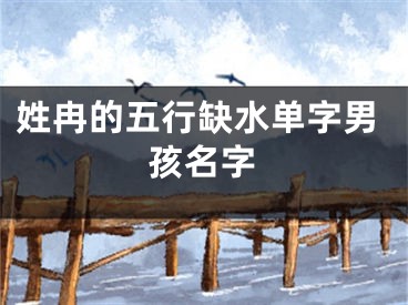 姓冉的五行缺水单字男孩名字