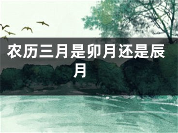 农历三月是卯月还是辰月 
