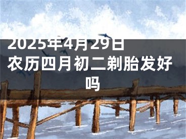 2025年4月29日农历四月初二剃胎发好吗