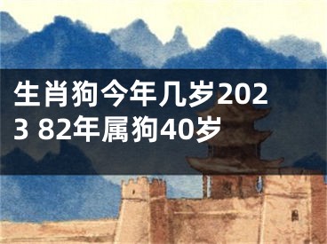 生肖狗今年几岁2023 82年属狗40岁