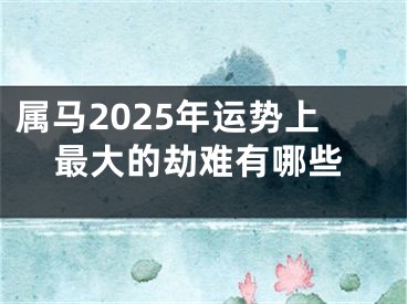 属马2025年运势上最大的劫难有哪些