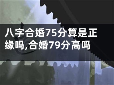 八字合婚75分算是正缘吗,合婚79分高吗