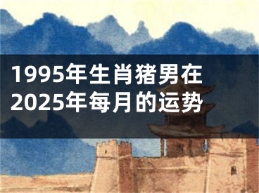 1995年生肖猪男在2025年每月的运势
