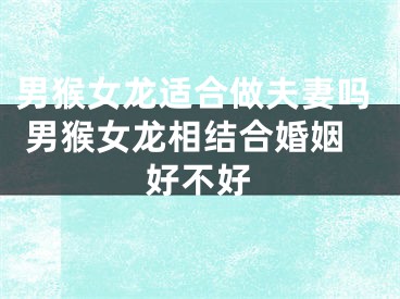 男猴女龙适合做夫妻吗 男猴女龙相结合婚姻好不好