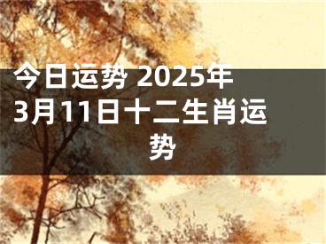 今日运势 2025年3月11日十二生肖运势