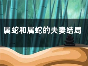 属蛇和属蛇的夫妻结局