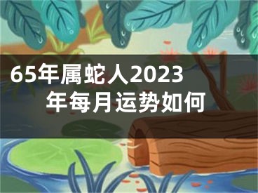 65年属蛇人2023年每月运势如何