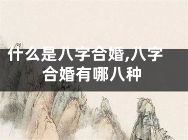 什么是八字合婚,八字合婚有哪八种