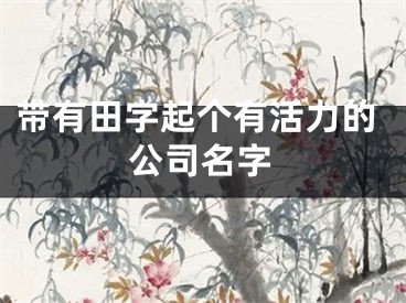 带有田字起个有活力的公司名字