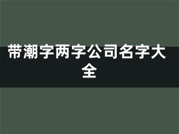 带潮字两字公司名字大全