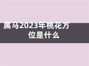 属马2023年桃花方位是什么