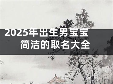 2025年出生男宝宝简洁的取名大全