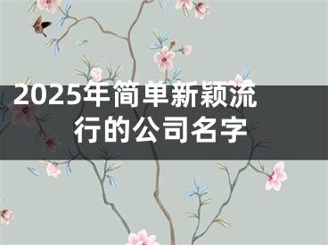 2025年简单新颖流行的公司名字