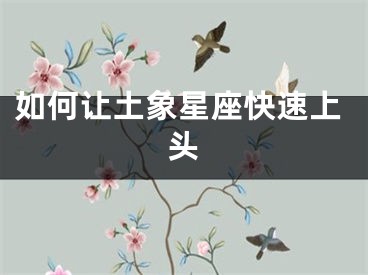 如何让土象星座快速上头