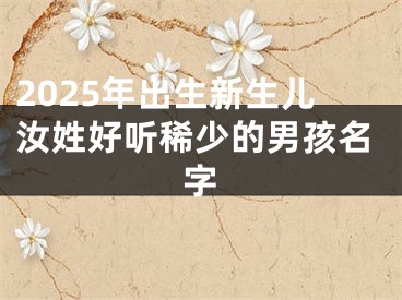 2025年出生新生儿汝姓好听稀少的男孩名字