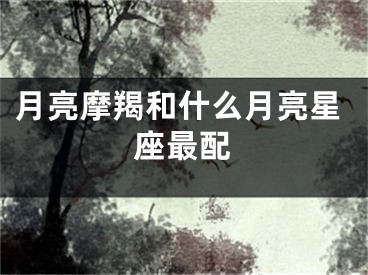 月亮摩羯和什么月亮星座最配