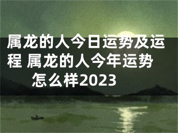 属龙的人今日运势及运程 属龙的人今年运势怎么样2023