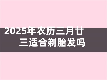 2025年农历三月廿三适合剃胎发吗